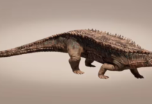Descubren un etosaurio de hace 200 millones de años