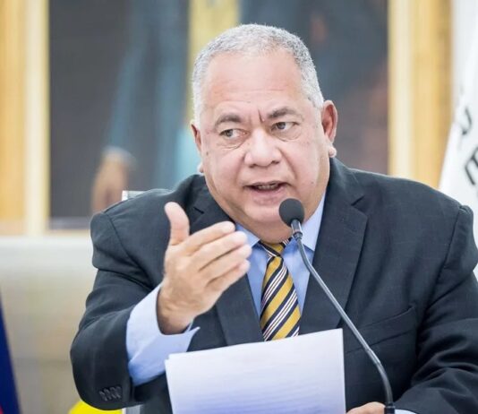 Elvis Amoroso: El próximo #27Jul elecciones para escoger Alcaldes