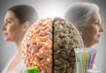 Estudio vincula edulcorantes de uso habitual con envejecimiento acelerado del cerebro