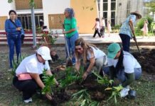 Realizan jornada “Siembra, Mueve y Crea” del Rotary Club San Félix