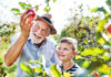 Historia: En árbol de manzanas y una lección de vida