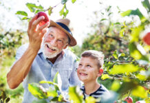 Historia: En árbol de manzanas y una lección de vida