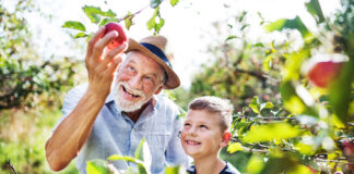 Historia: En árbol de manzanas y una lección de vida