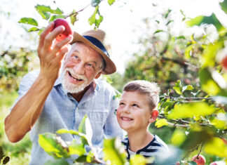 Historia: En árbol de manzanas y una lección de vida