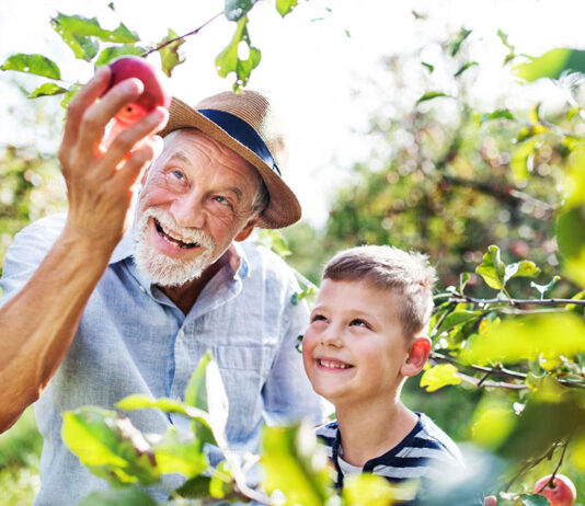 Historia: En árbol de manzanas y una lección de vida